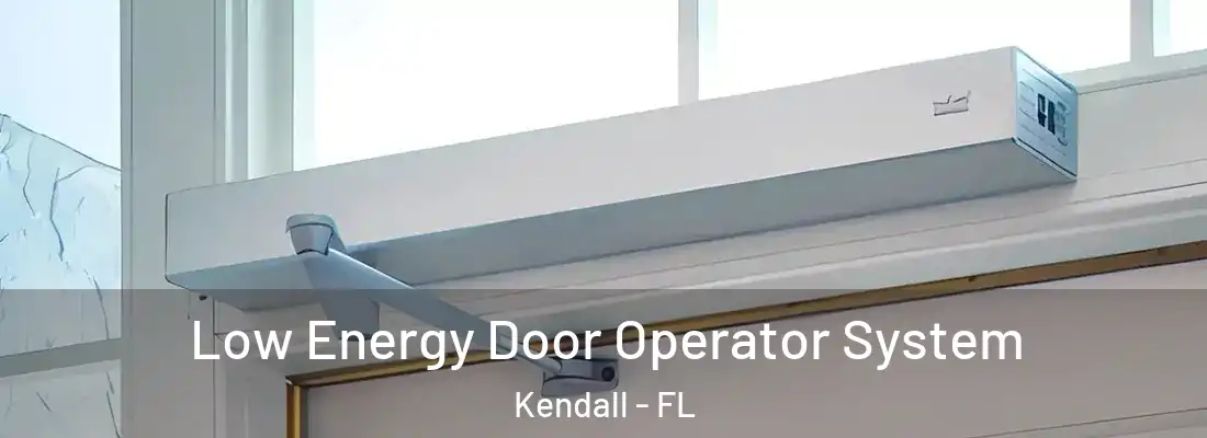  Low Energy Door Operator System Kendall - FL